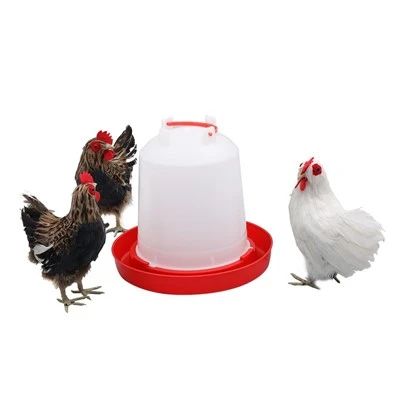 Bevedor de pollets per a la cria d'aus de corral
